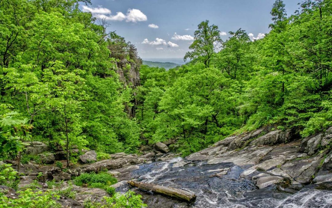 Beatae voluptate voluptatibus voluptas aut et eaque